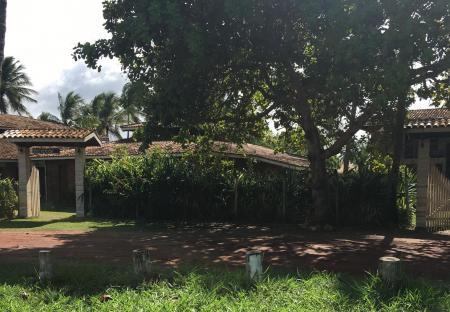 A lot of trees and shades, near to the beach of Pratigi in Bahia