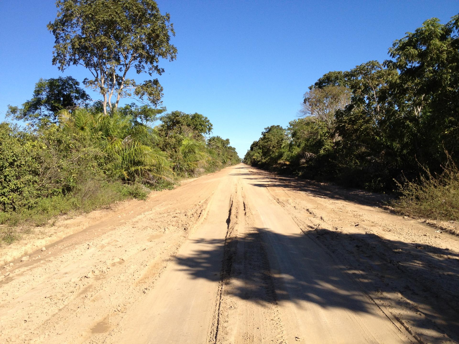 Road Trip South Pantanal