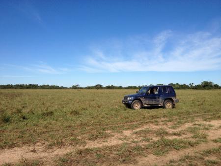 Rental cars in the South Pantanal