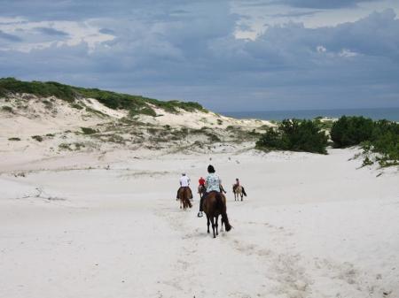 Horse riding on the beach