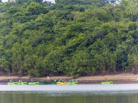  Excursion boats in the Amazon Rainforest